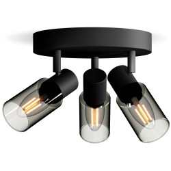 Philips 8720169299351 Palms Ceiling Floodlight E14 Black 25W Movable Heads