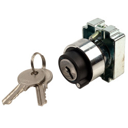 Techna PtecMetK2CRA 2 Position Key Switch