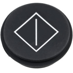 EAO 09-0S12.5104 EAO Series 09 Keypad Insert Symbol - Start; Start Of Action