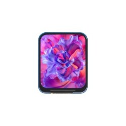 Moduł LCD IPS 1,69" 240x280 - Waveshare 24382
