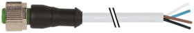 Murrelektronik Limited Kabel przyłączeniowy Złącze A Złącze M12 4 długość 5 m Rodzaj A Żeńskie