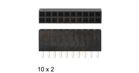 Header socket 10-way x 2 row 2.54mm - Truconnect