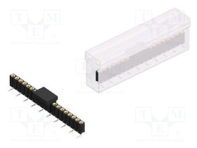 BLY.5SMD19BSM