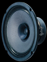 3020 VISATON full-range speaker, 20cm