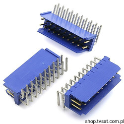 76383-310 Connector 2 x 10 Pin Horizont THT BERG