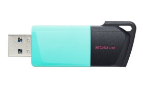 Pamięć 256 GB Bez szyfrowania USB 3.2 Kingston Nie 3D TLC Nie