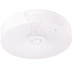 Starlet Fi 145 round n/t SO150 NM 3h MT intelight