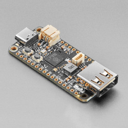 Adafruit Feather RP2040 with USB Type A Host