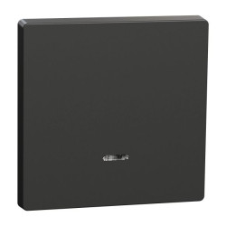 Enjo anthracite avec voyant