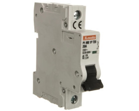Ogranicznik mocy 1P 20A 10kA P1MB1PT20