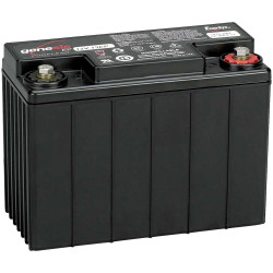 EnerSys G13EP0770-2007 Genesis VRLA 12V 13Ah AGM Battery, Maintenance-Free