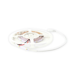 Taśma 150 LED 3528 12W 12V 5m ciepły biały LIGHTECH