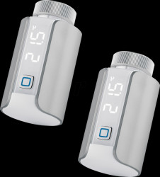 2X 156650A0 Radiator thermostat - Evo, silver, 2 pack