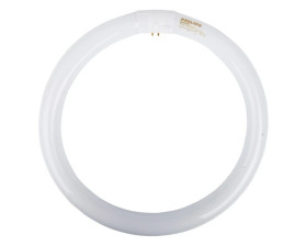 Świetlówka kołowa G10q 32W 840 4000K 32W/840 TLE 8711500559685