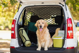 Siatka zabezpieczająca HP Autozubehör 19980 1 szt.