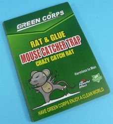 PUŁAPKA NA MYSZY LEP 12