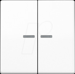 BTA17102WW Bluetooth pushbutton, dual, alpine white