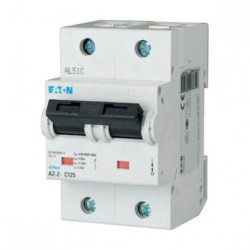 Wyłącznik nadprądowy 2P B 100A 25kA AC AZ-2-B100 174500