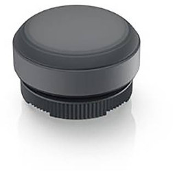 RAFI 1.30.270.005/0701 1.30.270.005/0701 Przycisk chwilowy (D x S x W) 29.8 x 29.8 x 20.7 mm 1 szt.