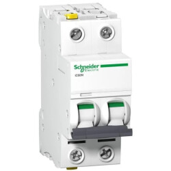 Wyłącznik nadprądowy IC60N 6A, 2P, char. D , A9F05206, Schneider
