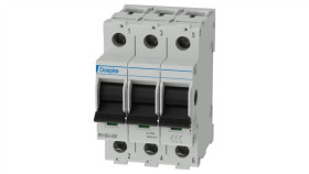 Wyłącznik Główny Rh 063-300 063A/3-Bieg. 09981062