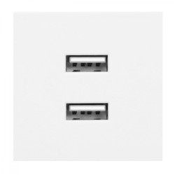 NOEN USB x 2. podwójny port modułowy 45x45mm z ładowarką USB. 2.1A 5V DC. biały OR-GM-9010/W/USBX2