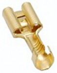 Receptacle, 6.3 mm, 10 070 002