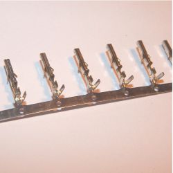 Pin MLX5557-T cena netto