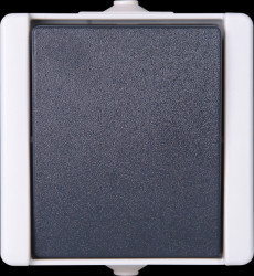 540656002 proAQA - Universal switch (off/toggle), grey