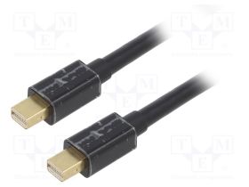 CCP-MDPMDP2-6