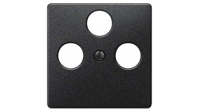 Wyjście koncentryczne, Koncentryczny