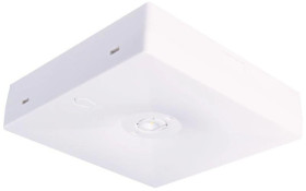 Oprawa sieciowo-awaryjna natynkowa STARLET QUAD SO 250 M 3H MT / 92834