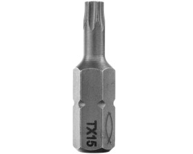 Bit profesjonalny FPB T15 PROFI BIT W 2 533079 /2szt./