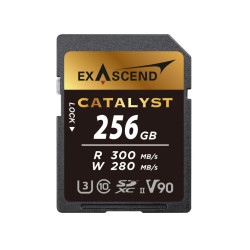 Karta SD SDXC, 256 GB, Exascend Catalyst