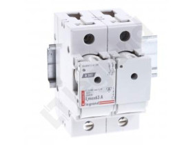 Rozłącznik bezpiecznikowy 2P 63A D02 R302 606679 LEGRAND