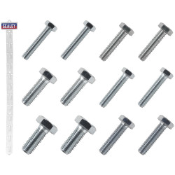 Sealey SCREWSET Clip Strip Deal - Set Screws