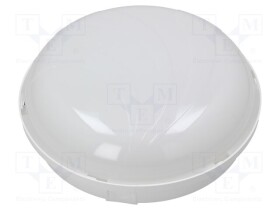 PW-D.3175M-BN-20W