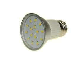 Żarówka LED PRIN E27 15x2835 2W DW