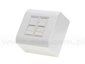 Puszka natynkowa, 2x keystone, z zapadkami