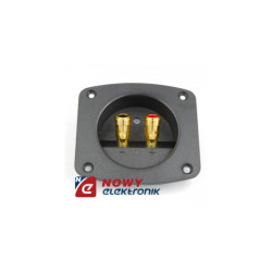 Gniazdo głośn. Terminal prostok. z gn. banan