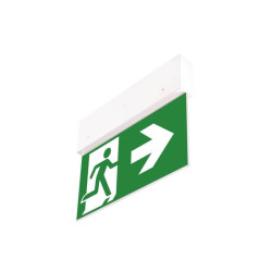 Oprawa ewakuacyjna OXIMIA LED sufitowa Directo S M 3H 2F 2,5W IP20 MT +(VD3, VD4, VD5) 90285 Intelight