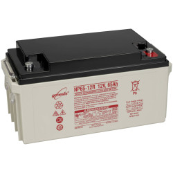 EnerSys NP65-12 VRLA Battery, 12V 65Ah AGM, Maintenance-Free, VDS Cert.