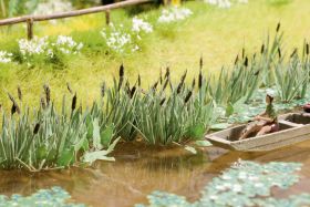 Sitowie, NOCH 14608, skala N, 16 roślin