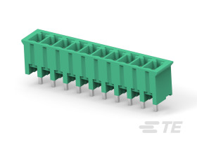 Klucz polaryzacyjny 10 -pinowe raster 3.81mm Montaż na płytce TE Connectivity