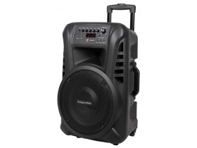 Aktywna kolumna głośnikowa (z 2 mikrofonami...