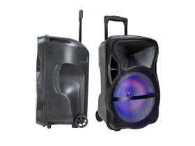 VT-6315 50W Przenośny głośnik karaoke bluetooth gniazdo USB slot na kartę micro SDgniazdo AUX2x MikrofonPodświetlenie LED (38 cm