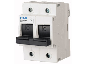 Rozłącznik bezpiecznikowy 2P 63A D02 Z-SLS/CB/2 248248 EATON