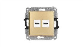 Icon Mechanizm Gniazda Podwójnego 2Xusb C-C, Bez Pola Opisowego Złoty...