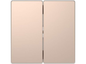 MERTEN D-LIFE Klawisz podwójny szampan metalik MTN3400-6051 SCHNEIDER ELECTRIC