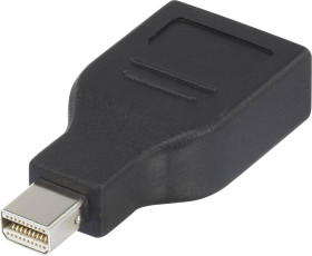 adapter DisplayPort Renkforce RF-4174572